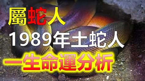 1989 屬蛇|生肖蛇: 性格，愛情，2024運勢，生肖1989，2001，2013